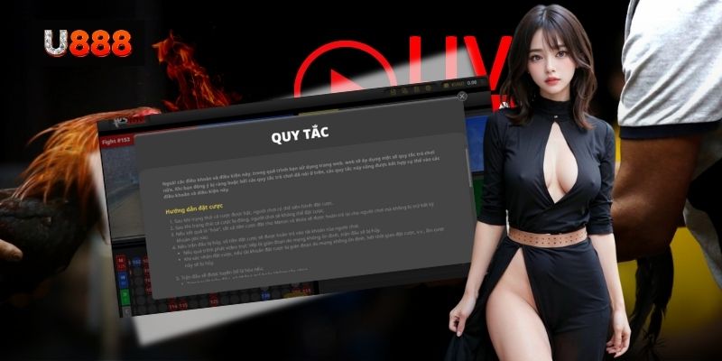 Xem đá gà trực tiếp Thomo đỉnh cao, siêu hấp dẫn tại U88 5 Hình 2: Luật thi đấu đá gà trực tiếp Thomo