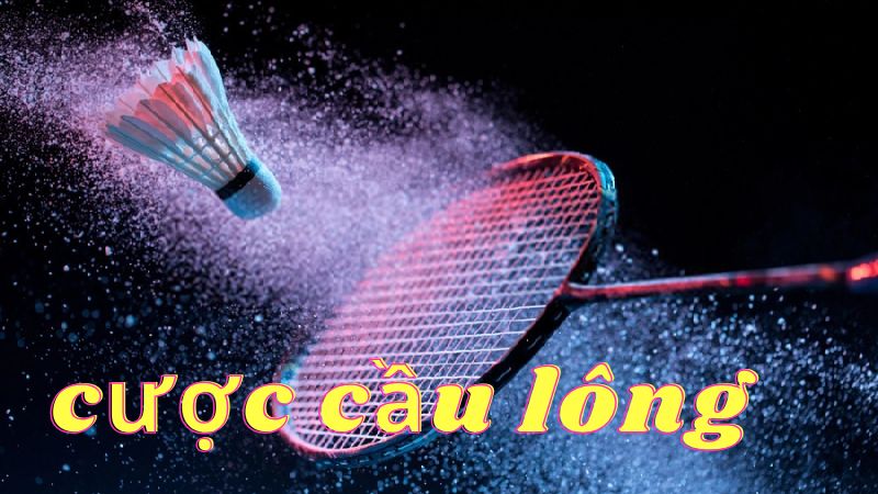 Bỏ Túi Chiến Thuật Đặt Cược Cầu Lông Thắng Lớn Tại U88